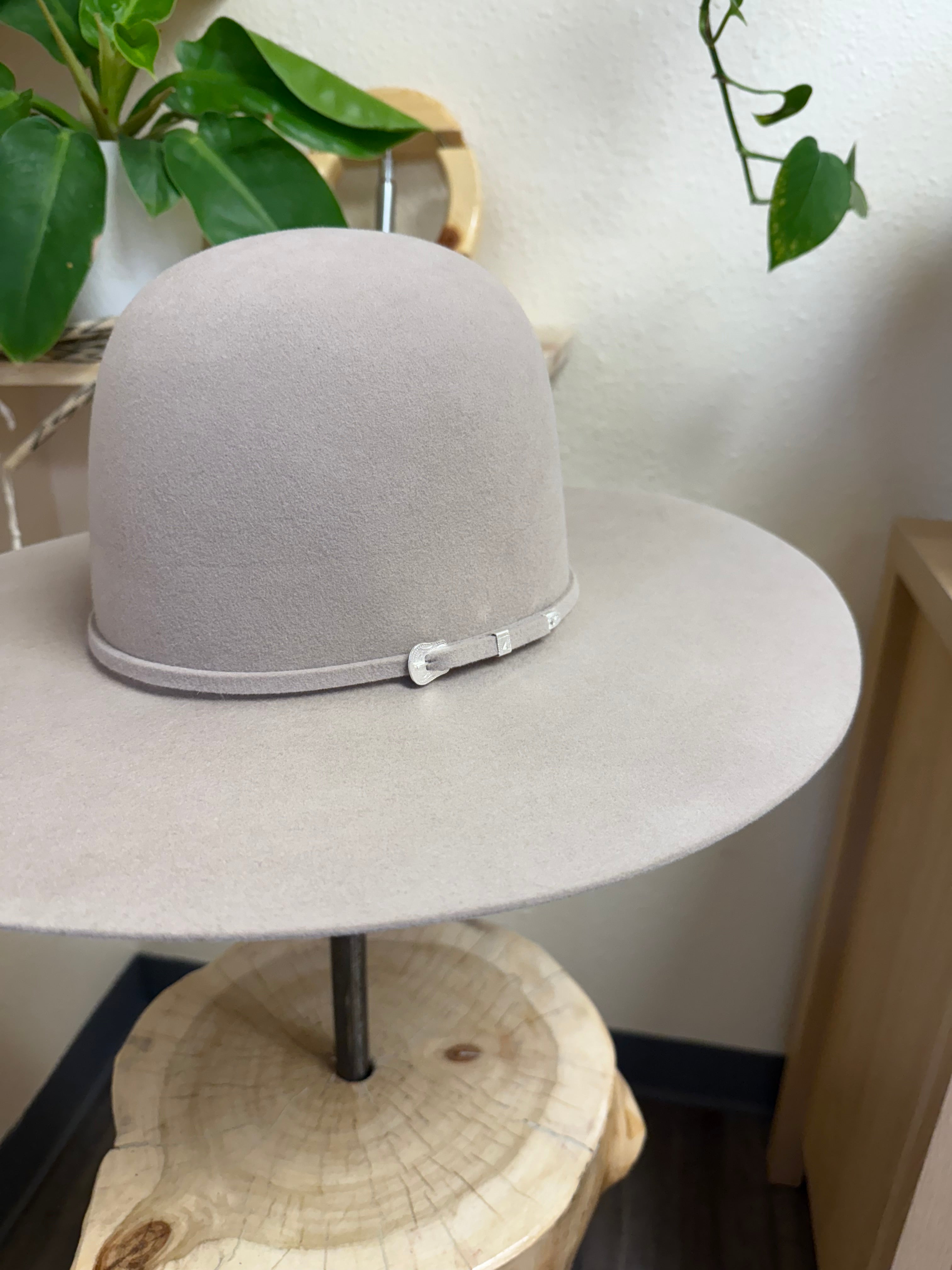 Serratelli 6x Dark Belly