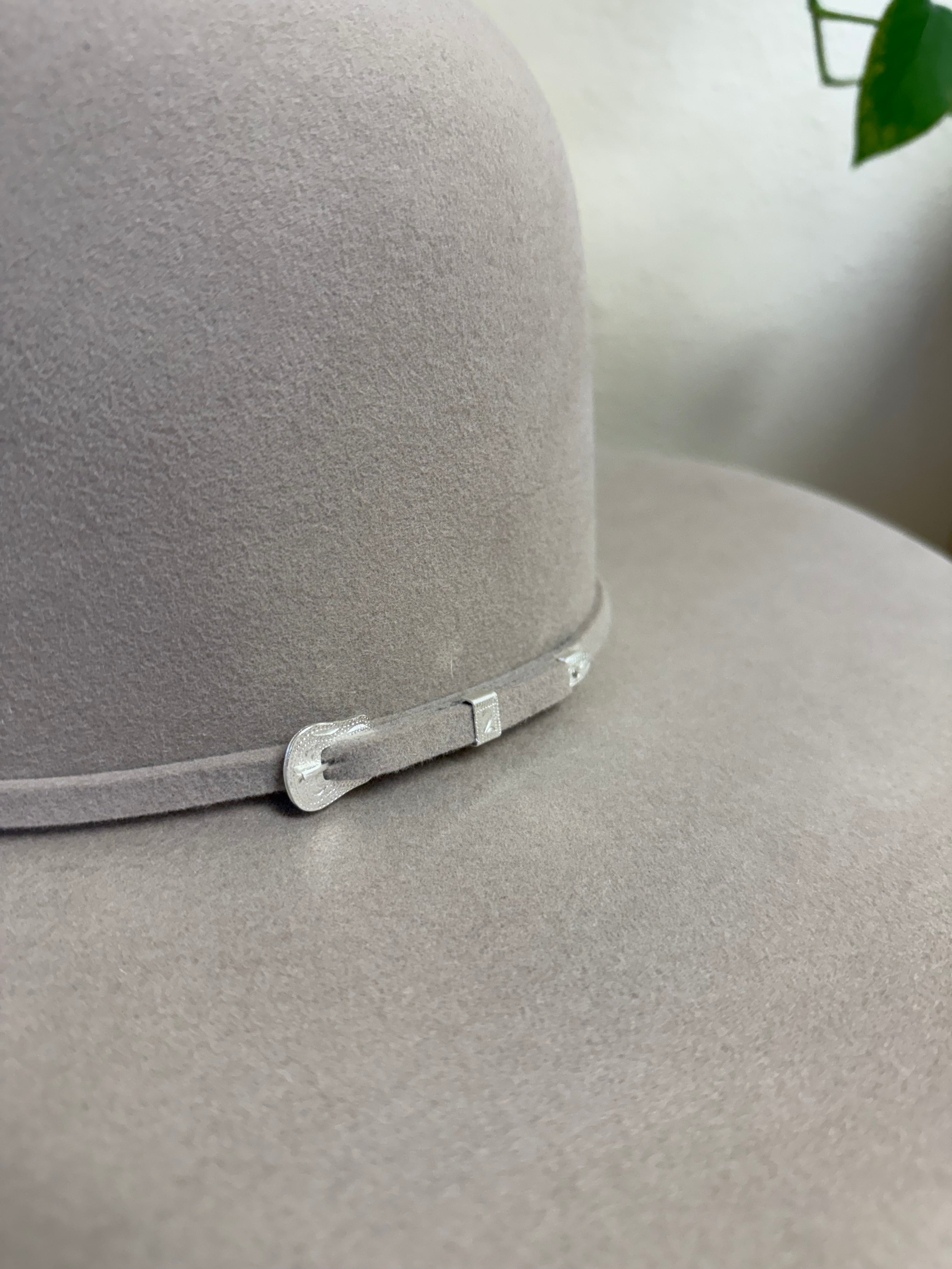 Serratelli 6x Dark Belly