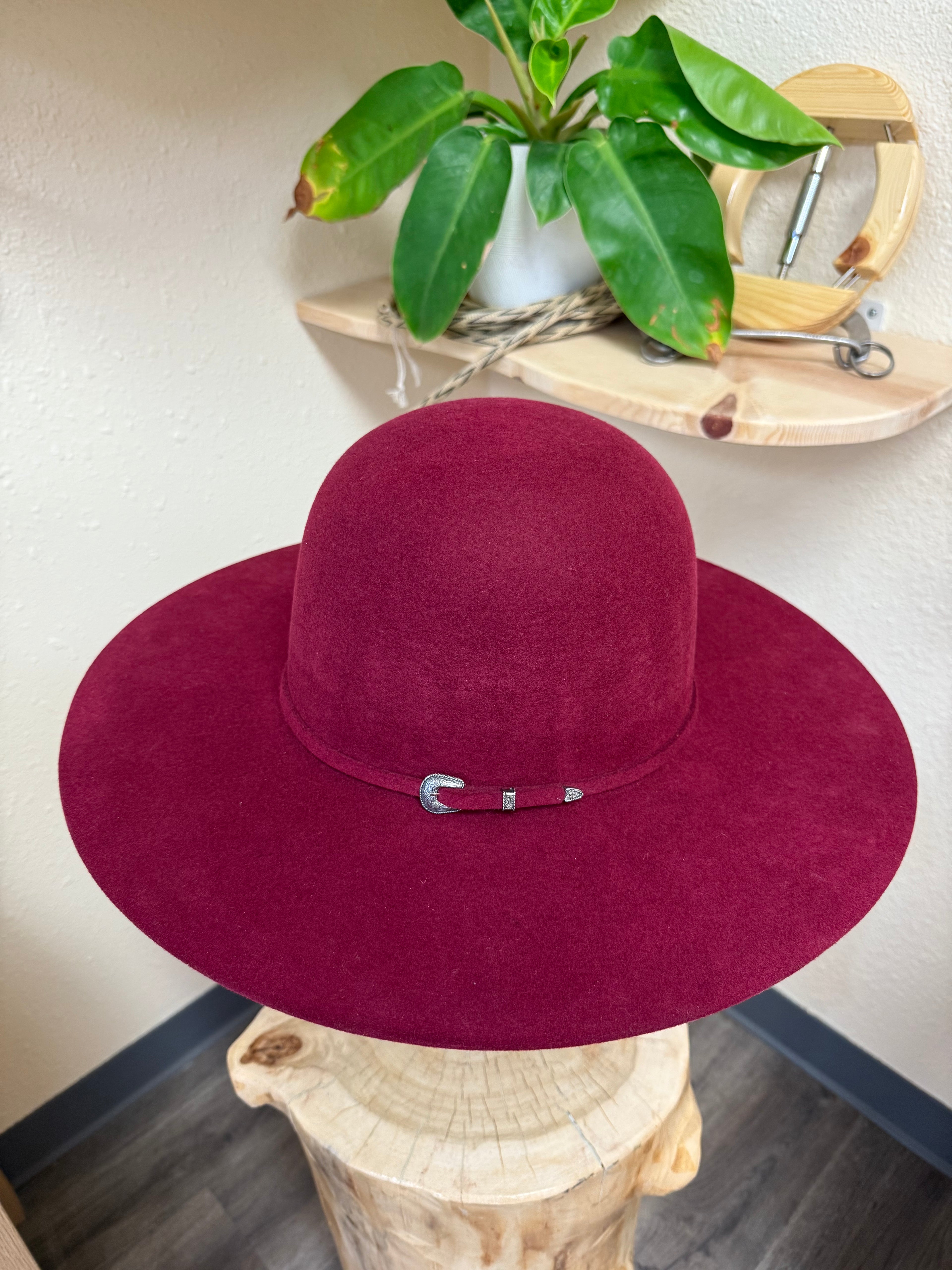 Serratelli Pure Wool 4.25”