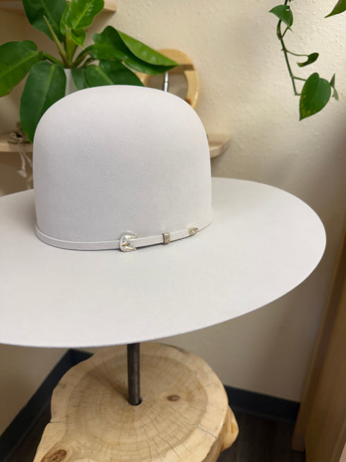 Atwood 7x Silverbelly