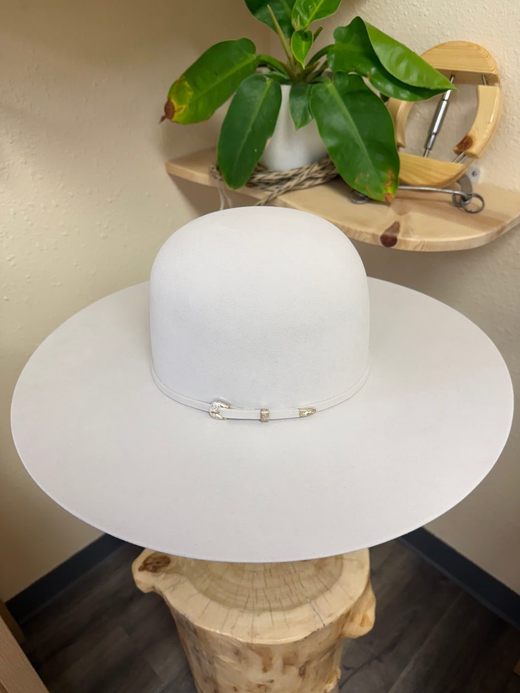 Atwood 7x Silverbelly