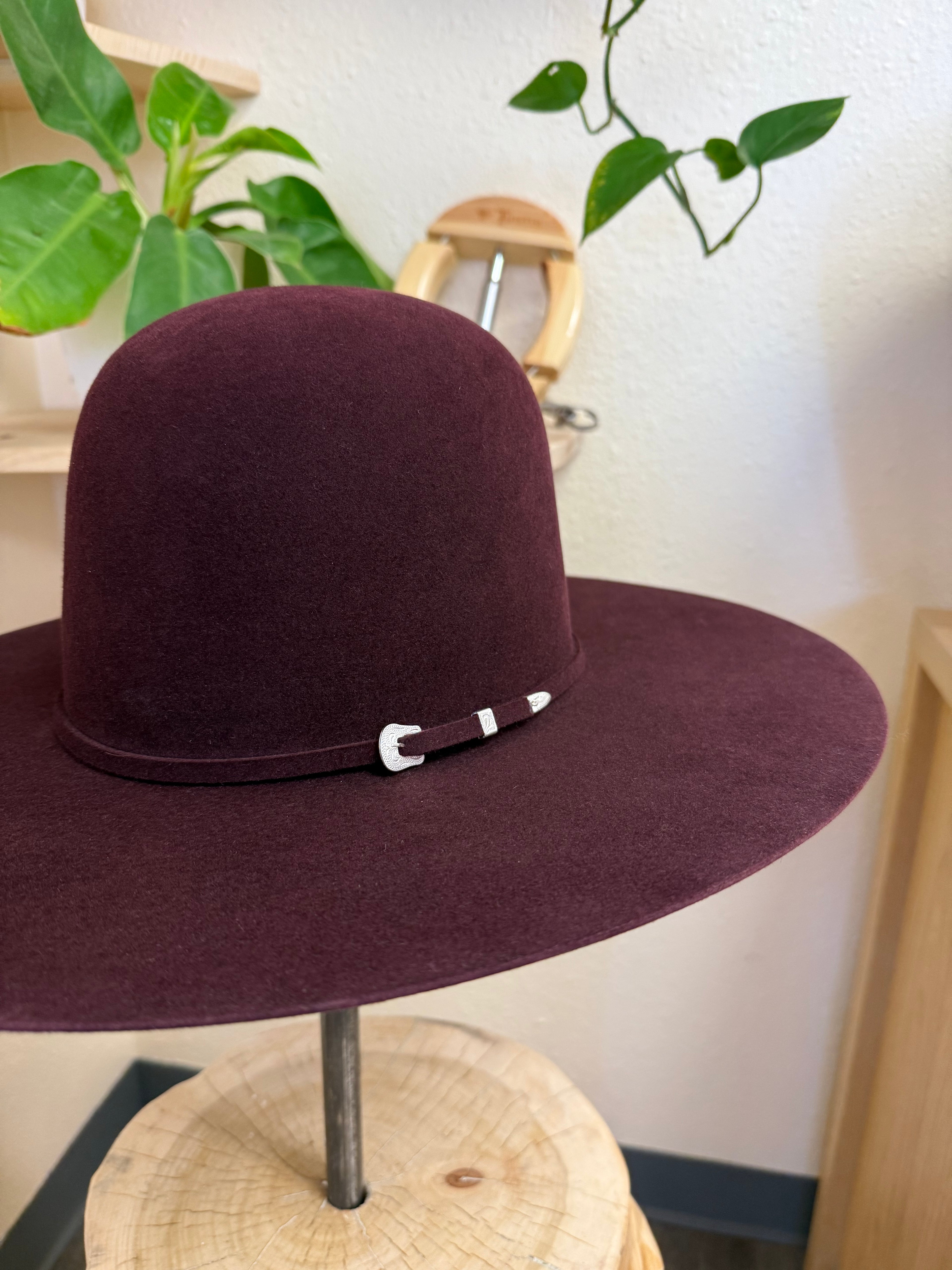 Serratelli 6x Burgundy