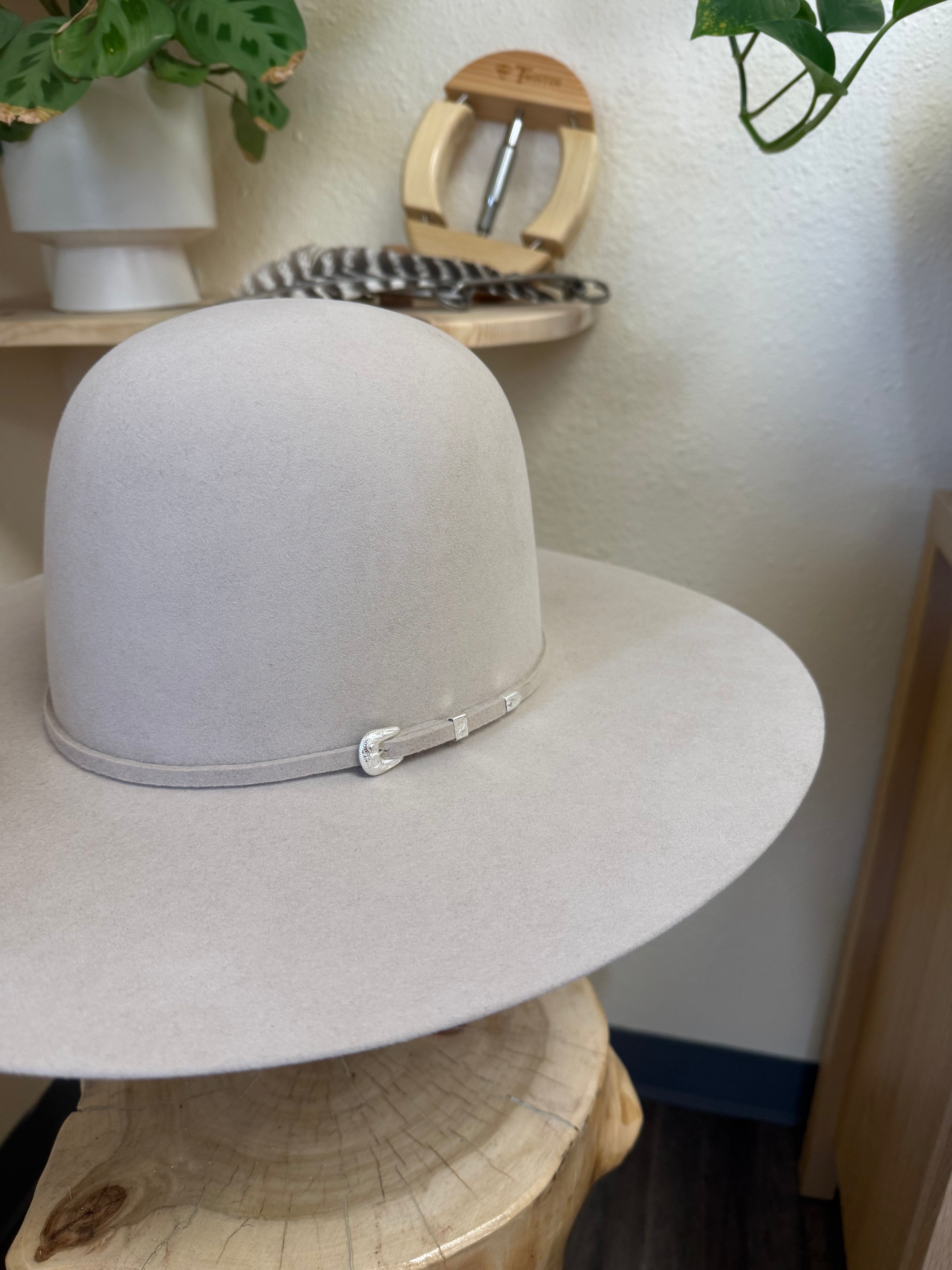 Serratelli 6x Silverbelly