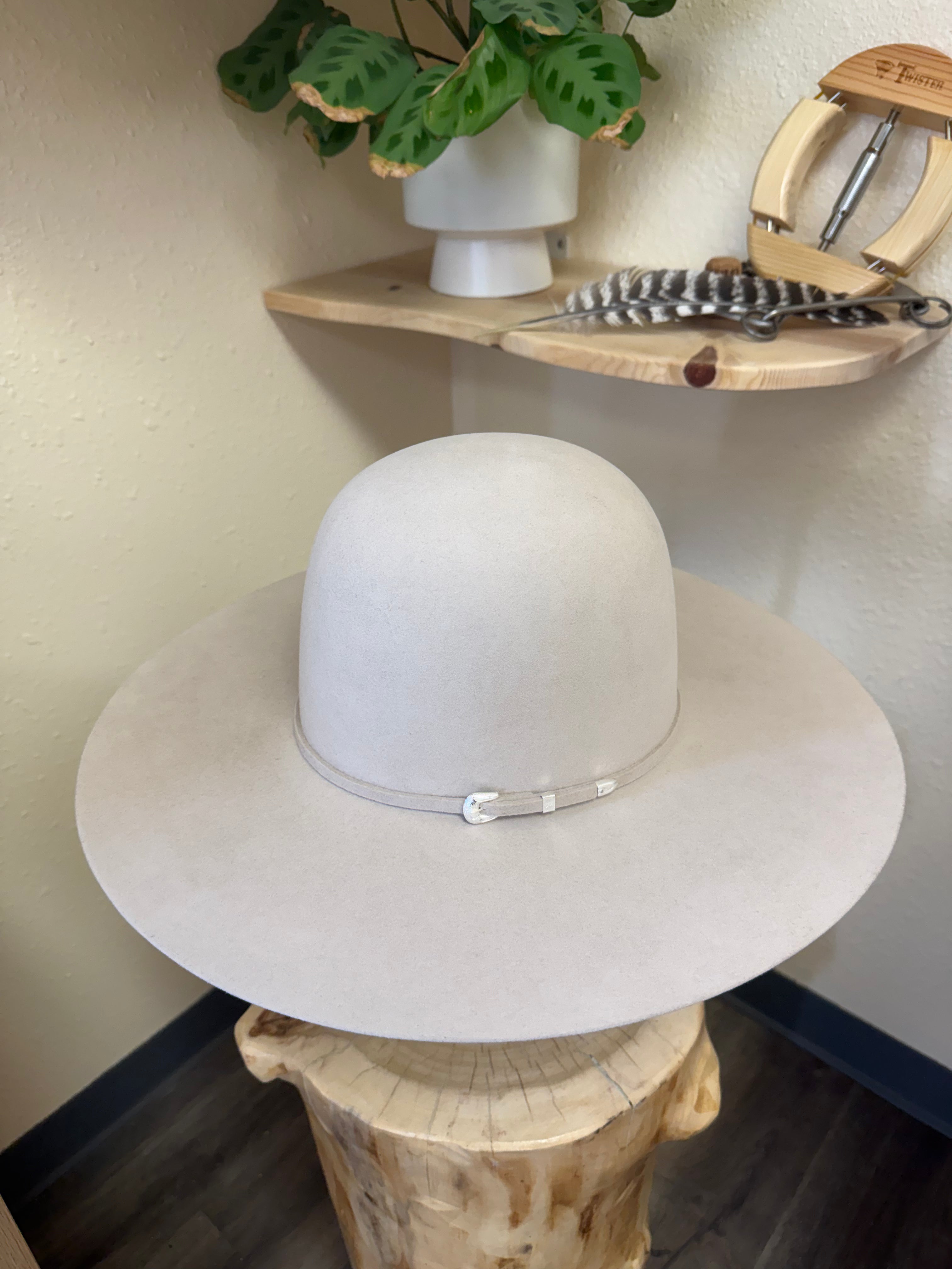 Serratelli 6x Silverbelly